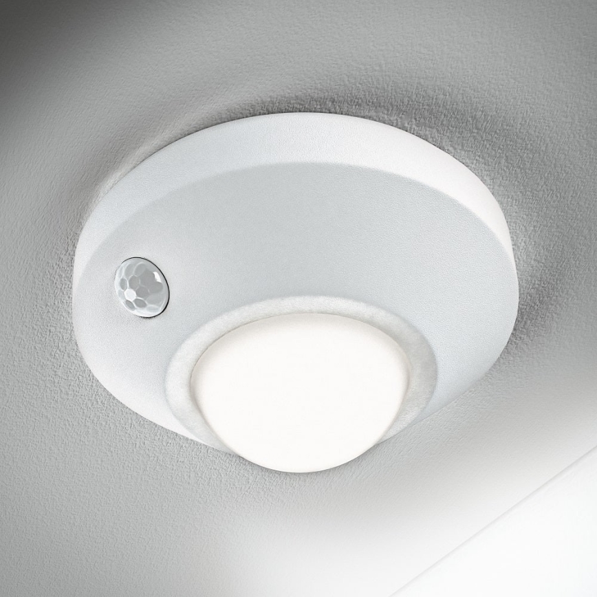 Ledvance - Iluminação noturna LED com sensor NIGHTLUX LED/1,7W/3xAA 4000K
