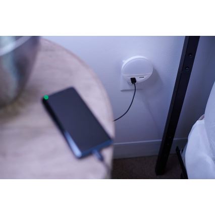 Ledvance - Iluminação noturna LED para tomada com sensor LUNETTA 2xUSB LED/13W/230V
