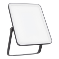 Ledvance - LED Holofote exterior de parede FLOODLIGHT ESSENTIAL LED/30W/230V 4000K IP65