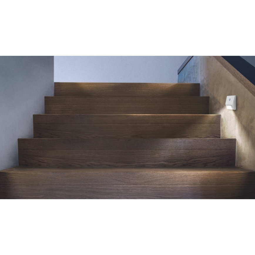 Ledvance - Luz de escadas LED com sensor NIGHTLUX LED/0,25W/3xAAA IP54