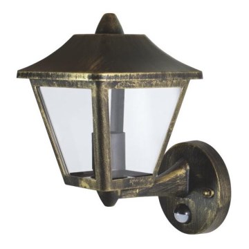 Ledvance - Luz de parede de exterior com sensor ENDURA 1xE27/60W/230V IP44