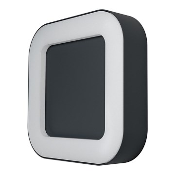 Ledvance - Luz de parede LED de exterior ENDURA LED/13W/230V IP44