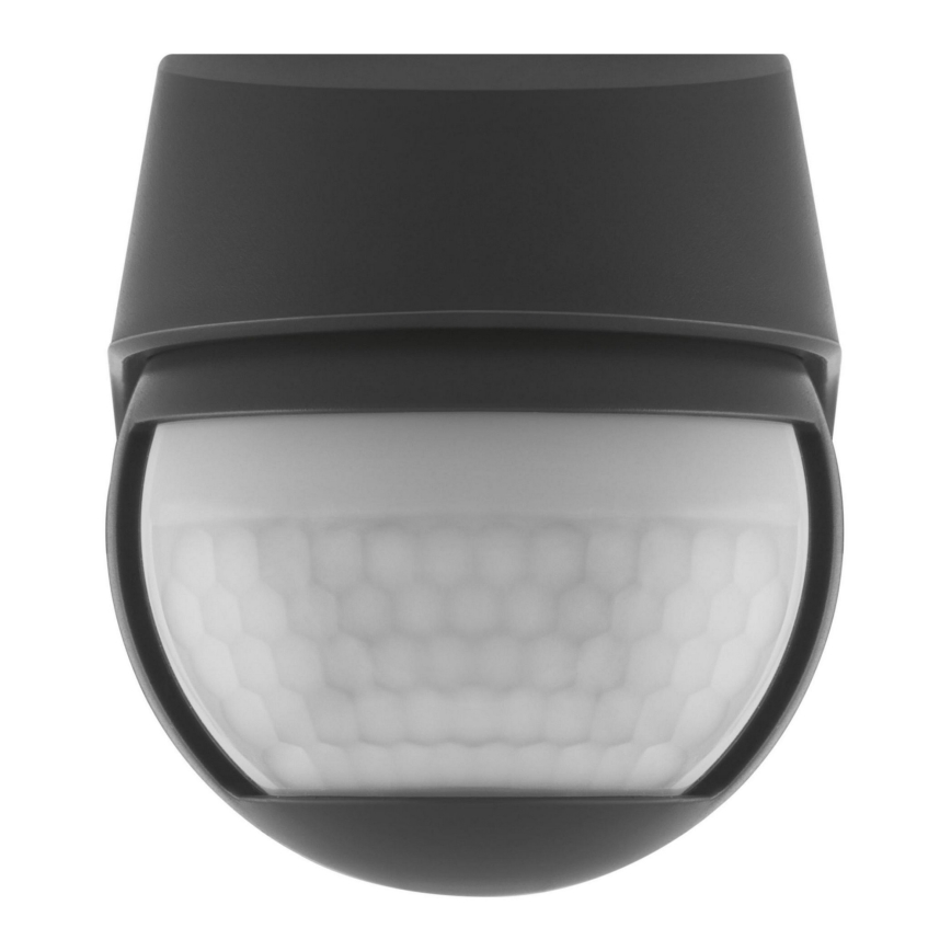Ledvance - Sensor de movimento por infravermelhos para exterior 230V IP44 preto