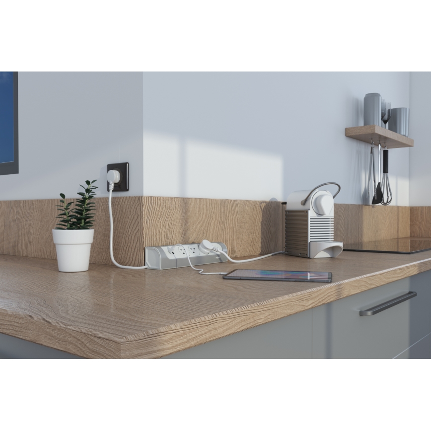 Legrand 049406 - Cabo de extensão 3Z Tipo E + USB-A + USB-C 1m prateado/branco