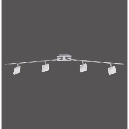 Leuchten Direkt 11084-55 - Foco LED TONY 4xLED/4W/230V