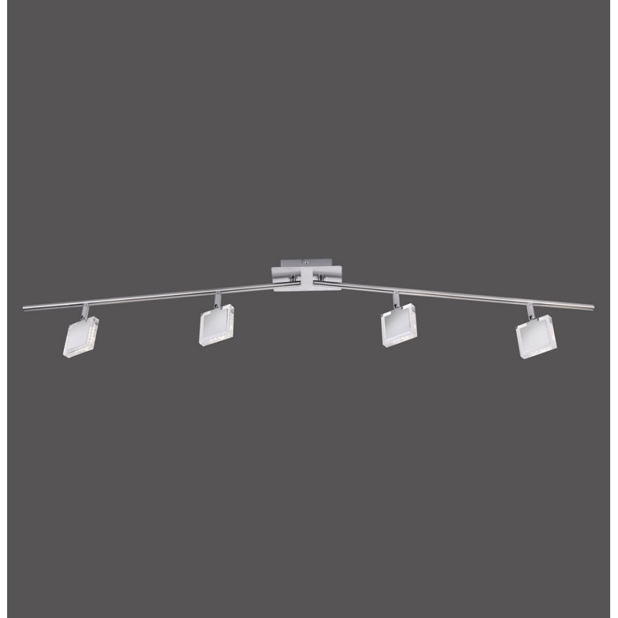 Leuchten Direkt 11084-55 - Foco LED TONY 4xLED/4W/230V