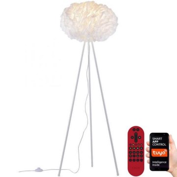 Leuchten Direkt 11212-16 - LED RGBW Candeeiro de chão com regulação NAOMI LED/10W/230V 2700-5000K Wi-Fi TUYA + comando
