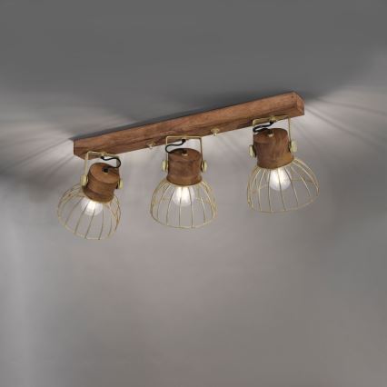 Leuchten Direkt 11488-60 - Foco ALAMI 3xE27/25W/230V mangueira