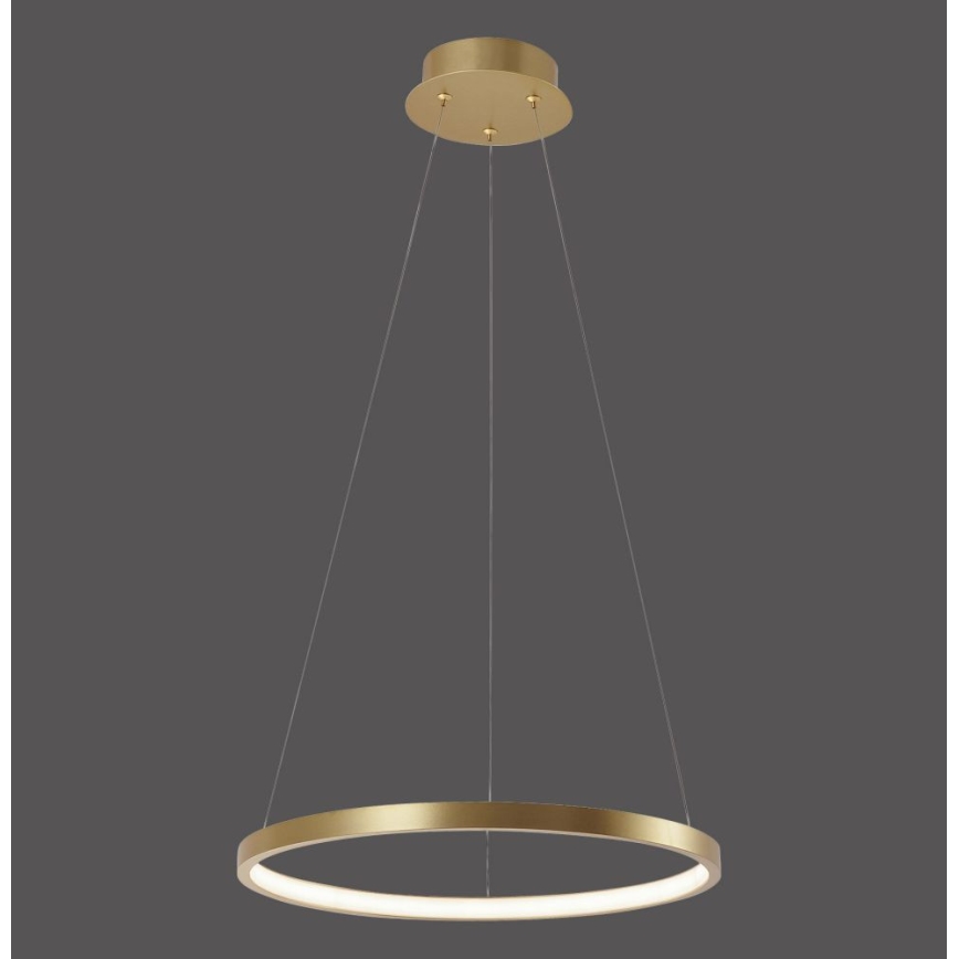 Leuchten Direkt 11522-12 - Candelabro num fio LED CIRCLE LED/19W/230V