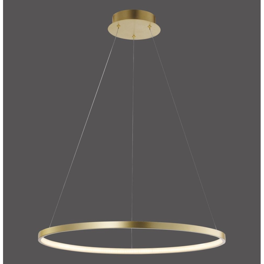 Leuchten Direkt 11524-12 - Candeeiro suspenso LED CIRCLE LED/28,5W/230V