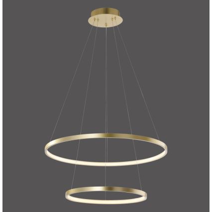 Leuchten Direkt 11525-12 -Candelabro num fio LED CIRCLE 1xLED/18,5W/230V + LED/23,5W