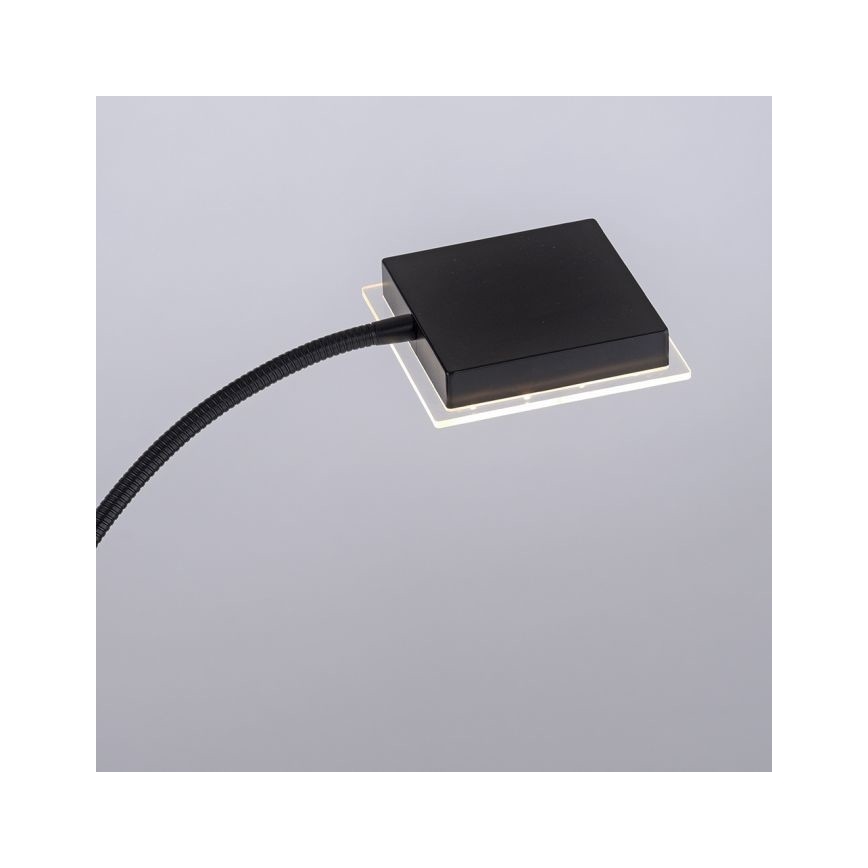 Leuchten Direkt 11710-18 - Candeeiro de chão LED com regulação HANS LED/21,5W/230V + LED/4W