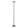 Leuchten Direkt 11729-18 - Candeeiro de chão fosco LED HANS LED/22W/230V