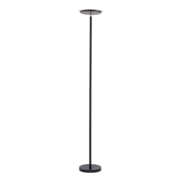 Leuchten Direkt 11729-18 - Candeeiro de chão fosco LED HANS LED/22W/230V