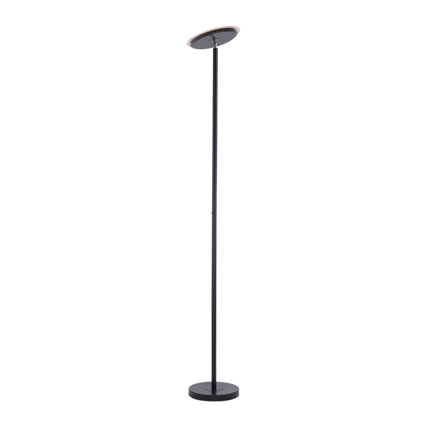 Leuchten Direkt 11729-18 - Candeeiro de chão fosco LED HANS LED/22W/230V