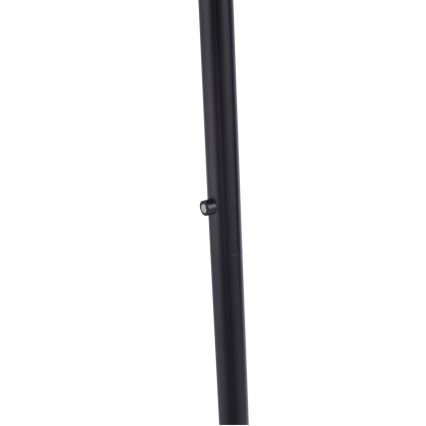 Leuchten Direkt 11729-18 - Candeeiro de chão fosco LED HANS LED/22W/230V