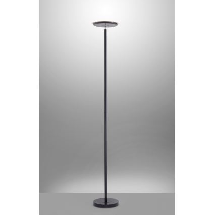 Leuchten Direkt 11729-18 - Candeeiro de chão fosco LED HANS LED/22W/230V