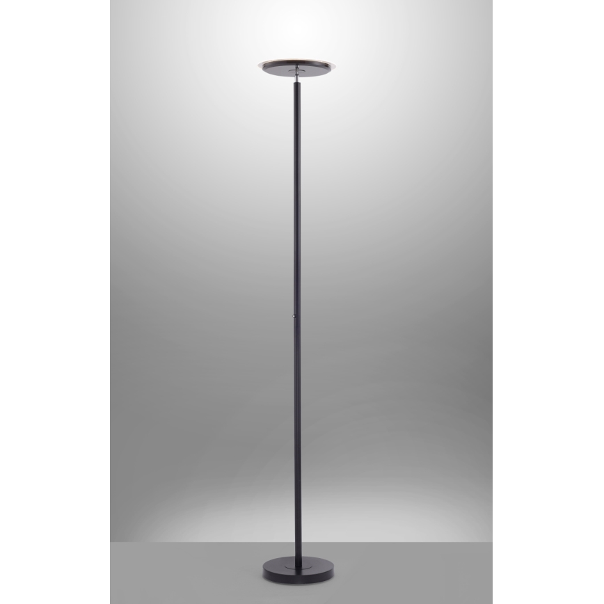 Leuchten Direkt 11729-18 - Candeeiro de chão fosco LED HANS LED/22W/230V