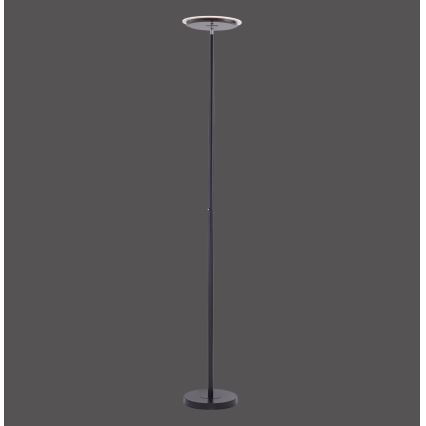 Leuchten Direkt 11729-18 - Candeeiro de chão fosco LED HANS LED/22W/230V