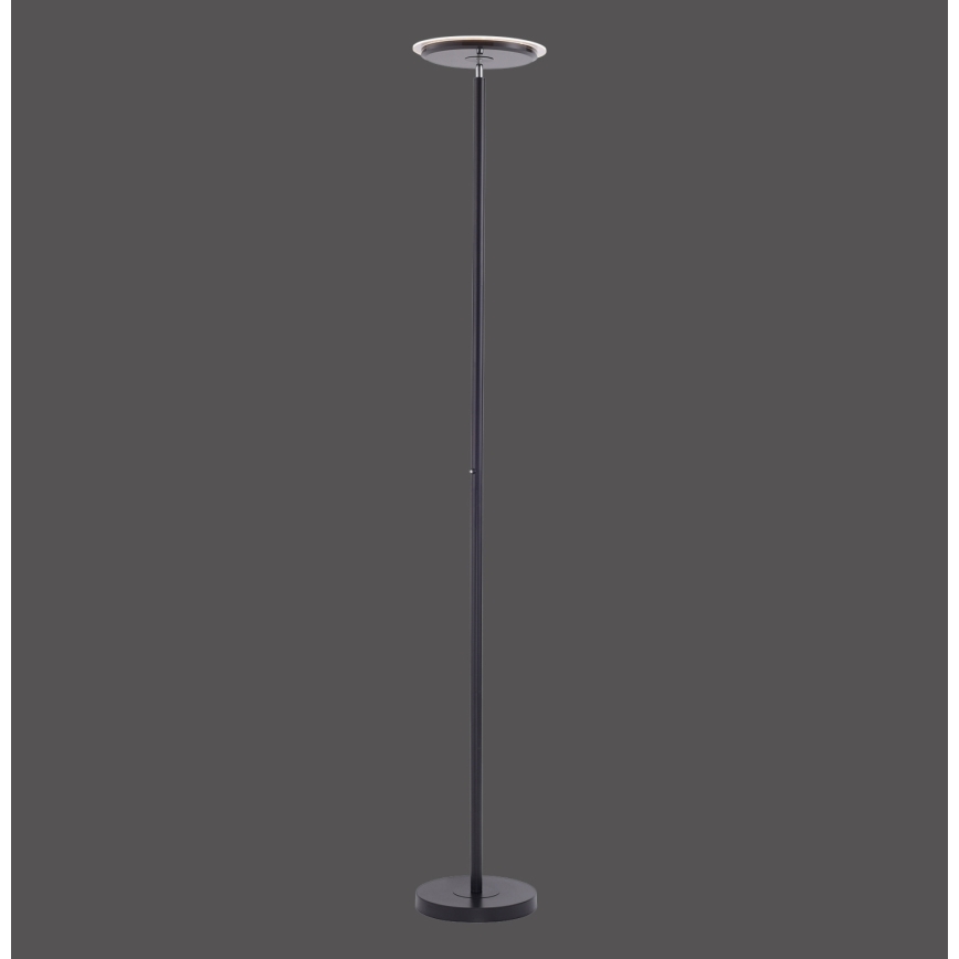 Leuchten Direkt 11729-18 - Candeeiro de chão fosco LED HANS LED/22W/230V
