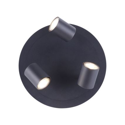 Leuchten Direkt 11943-13 - Foco LED TARIK 3xGU10/5W/230V antracite