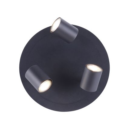 Leuchten Direkt 11943-13 - Foco LED TARIK 3xGU10/5W/230V antracite
