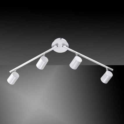 Leuchten Direkt 11944-16 - Foco LED TARIK 4xGU10/5W/230V branco