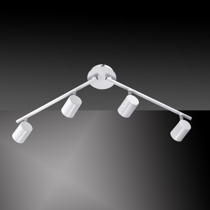 Leuchten Direkt 11944-16 - Foco LED TARIK 4xGU10/5W/230V branco