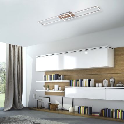 Leuchten Direkt 14019-78 - Candeeiro de teto LED IVEN 2xLED/20W/230V + comando