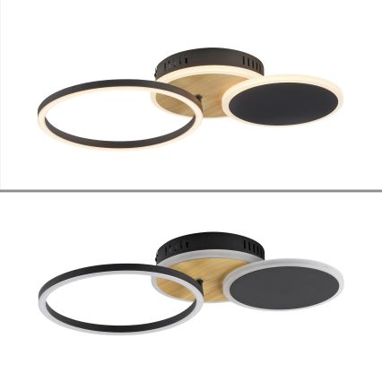 Leuchten Direkt 14116-78 - Iluminação de teto LED SEVENT LED/25,5W/230V preto/castanho
