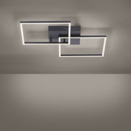 Leuchten Direkt 14141-18 - Iluminação de teto LED com regulação IVEN 2xLED/13,5W/230V + controlo remoto