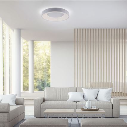 Leuchten Direkt 14326-16 - Luz de escurecimento LED ANIKA LED/30W/230V + controlo remoto