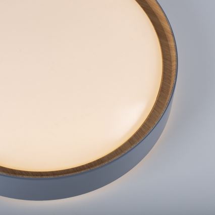 Název položky* Leuchten Direkt 14347-15 - Iluminação de teto LED com regulação EMILIA LED/28,8W/230V cinzento