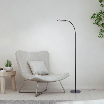 Leuchten Direkt 14406-18 - Candeeiro de chão LED táctil com regulação KELLY LED/7W/230V 3000/4000/6000K