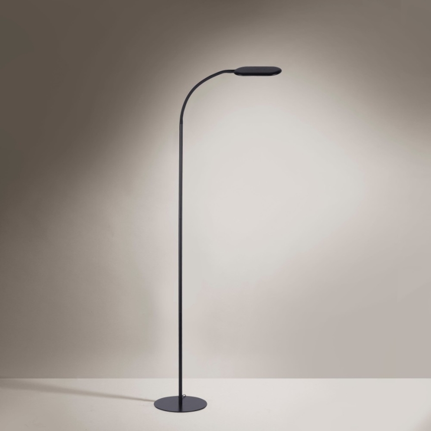 Leuchten Direkt 14406-18 - Candeeiro de chão LED táctil com regulação KELLY LED/7W/230V 3000/4000/6000K