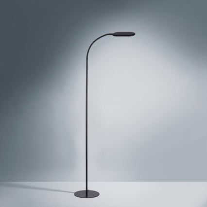 Leuchten Direkt 14406-18 - Candeeiro de chão LED táctil com regulação KELLY LED/7W/230V 3000/4000/6000K