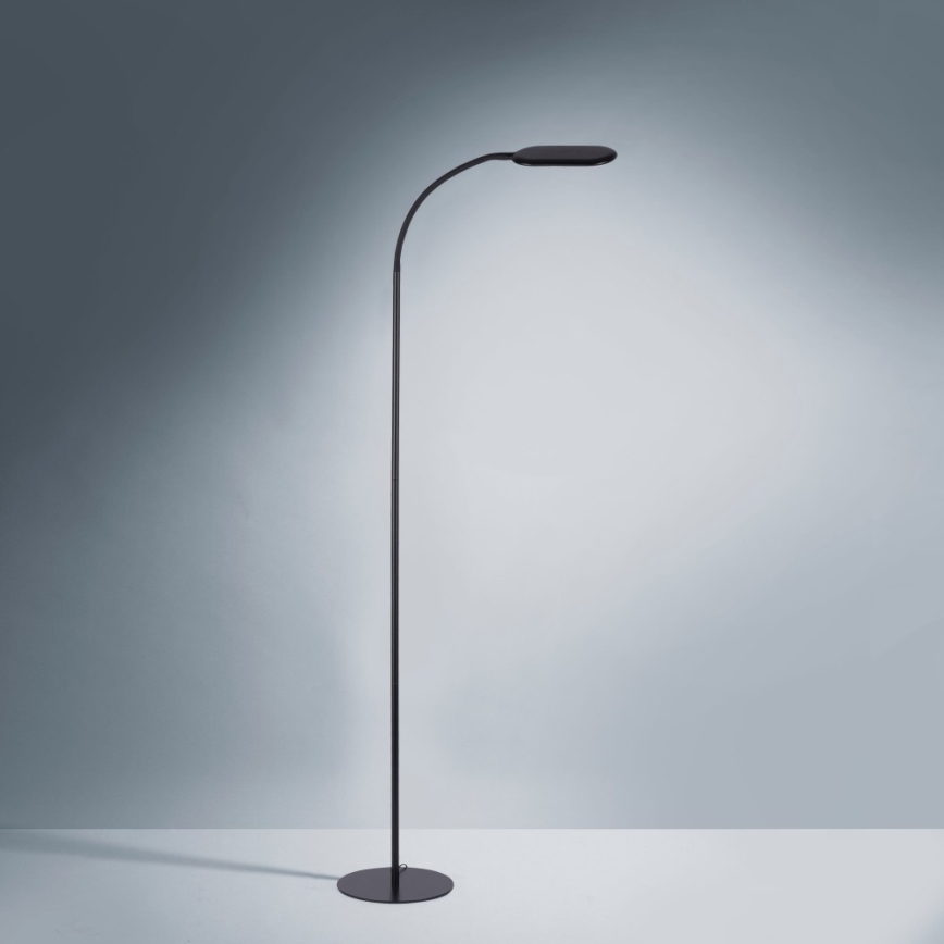 Leuchten Direkt 14406-18 - Candeeiro de chão LED táctil com regulação KELLY LED/7W/230V 3000/4000/6000K