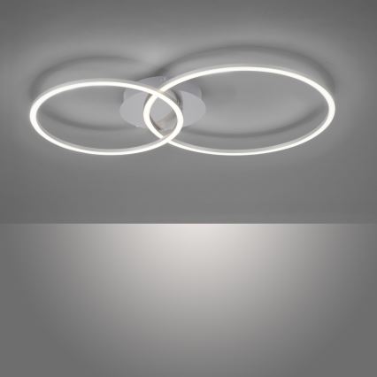 Leuchten Direkt 14537-55 - Iluminação de teto LED com regulação IVANKA LED/14W/230V + LED/12W