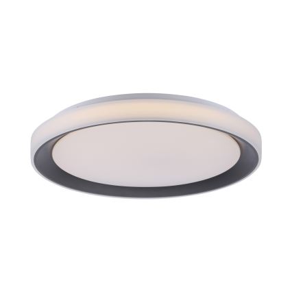 Leuchten Direkt 14659-18 - Luz de escurecimento LED RGB LOLA LED/24W/230V Tuya + controlo remoto