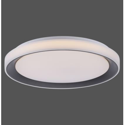 Leuchten Direkt 14659-18 - Luz de escurecimento LED RGB LOLA LED/24W/230V Tuya + controlo remoto
