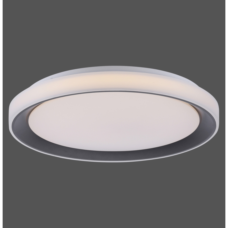 Leuchten Direkt 14659-18 - Luz de escurecimento LED RGB LOLA LED/24W/230V Tuya + controlo remoto