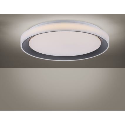 Leuchten Direkt 14659-18 - Luz de escurecimento LED RGB LOLA LED/24W/230V Tuya + controlo remoto