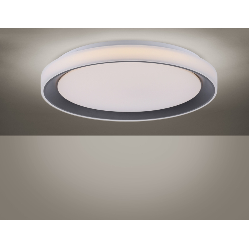 Leuchten Direkt 14659-18 - Luz de escurecimento LED RGB LOLA LED/24W/230V Tuya + controlo remoto