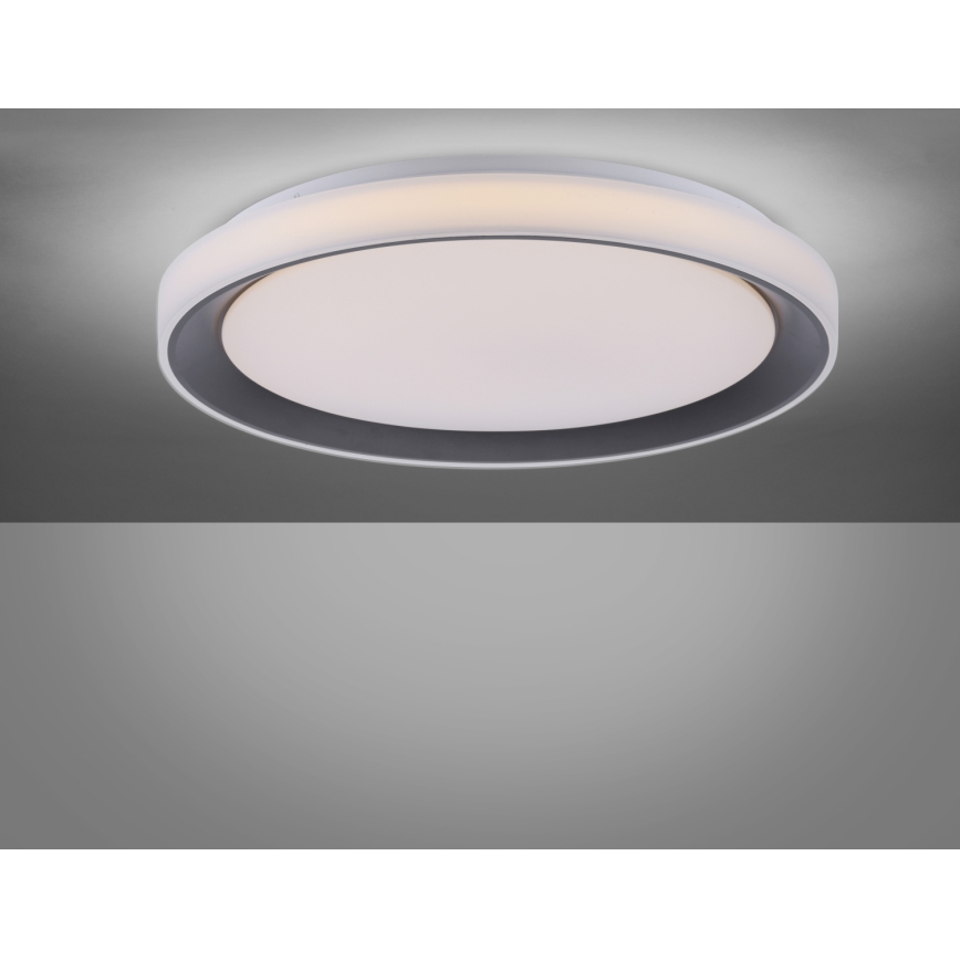 Leuchten Direkt 14659-18 - Luz de escurecimento LED RGB LOLA LED/24W/230V Tuya + controlo remoto