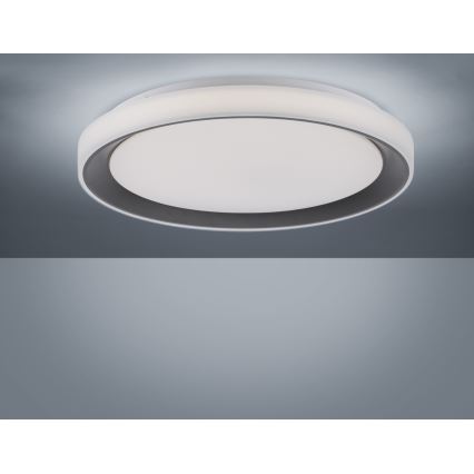 Leuchten Direkt 14659-18 - Luz de escurecimento LED RGB LOLA LED/24W/230V Tuya + controlo remoto