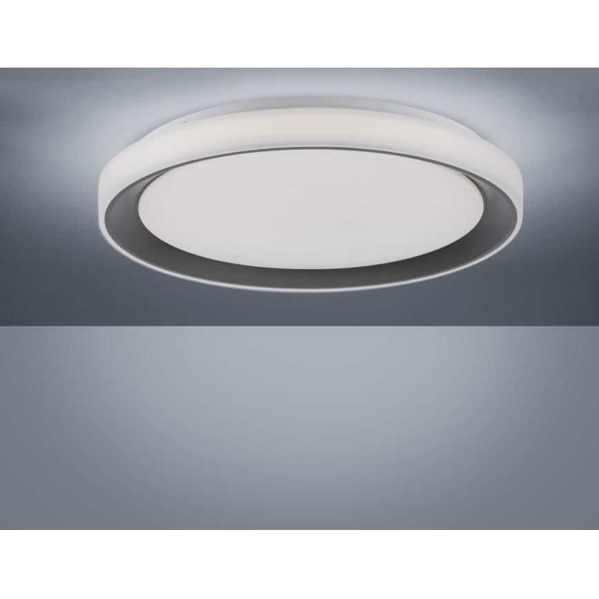 Leuchten Direkt 14659-18 - Luz de escurecimento LED RGB LOLA LED/24W/230V Tuya + controlo remoto