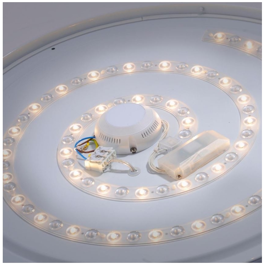 Leuchten Direkt 14822-17 - Iluminação de teto de casa de banho LED com sensor LAVINIA LED/40W/230V IP44