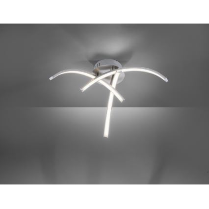 Leuchten Direkt 15341-55 - Candelabro integrado LED VALERIE 3xLED/3,7W/230V