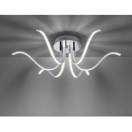 Leuchten Direkt 15342-17 - Candelabro integrado LED VALERIE 6xLED/4,5W/230V