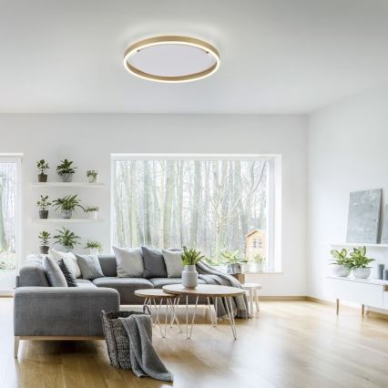 Leuchten Direkt 15391-60 - Iluminação de teto LED com regulação RITUS LED/20W/230V latão